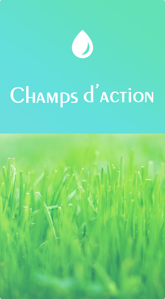 champs daction – accueil
